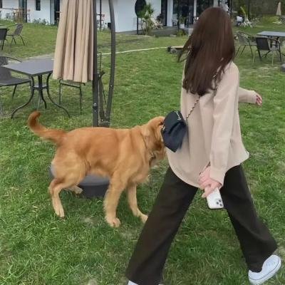 行尸传说